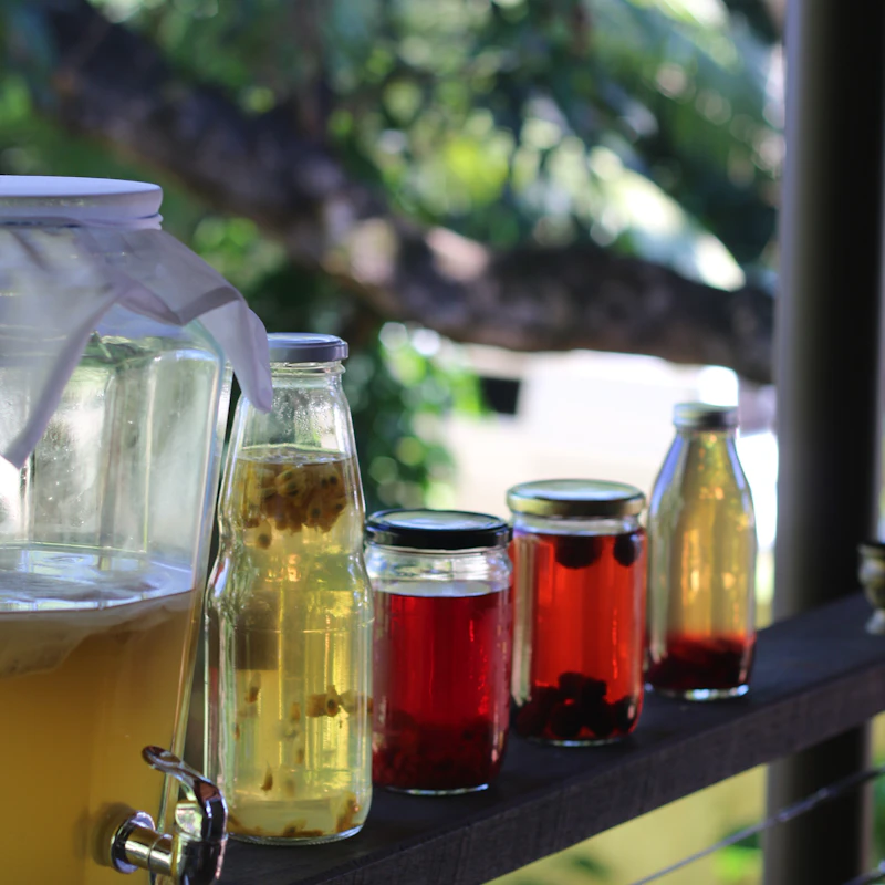 Berry Hibiscus Kombucha Duo β Beverages at Mega Sale