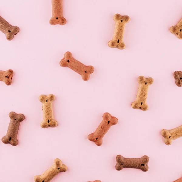 Durable Rubber Chew Bone — Pet Supplies at Mega Sale