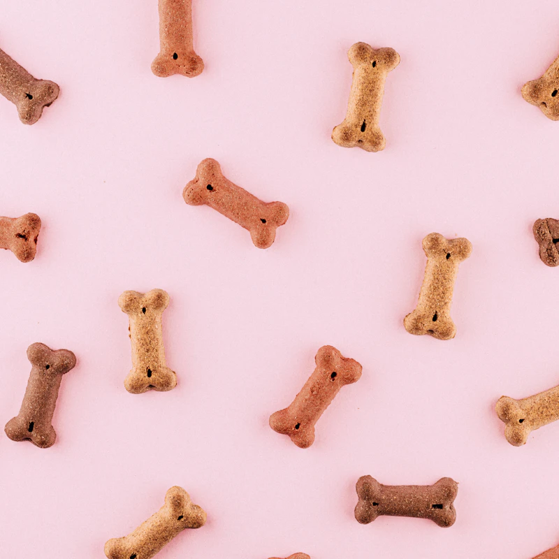Durable Rubber Chew Bone β Pet Supplies at Mega Sale
