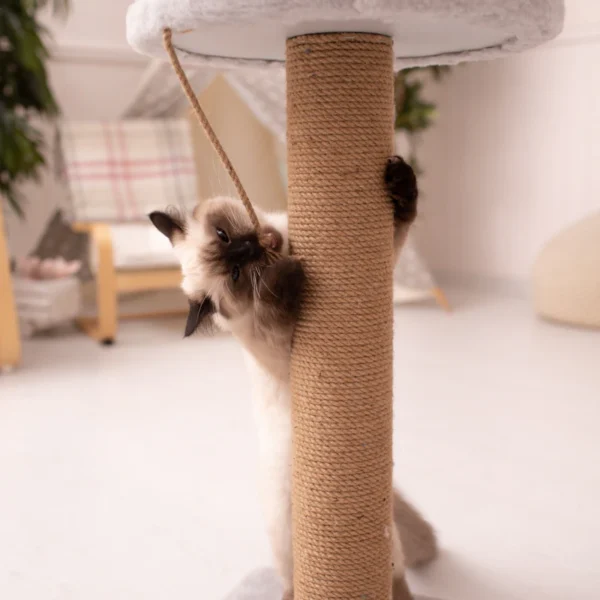 Modern Cat Tree Tower 52" — Pet Supplies at Mega Sale