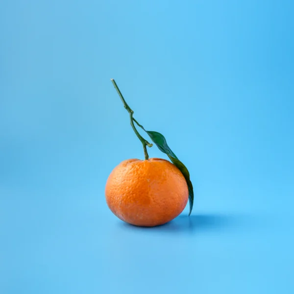 Navel Orange Bag 4 lb — Fresh Produce at Mega Sale
