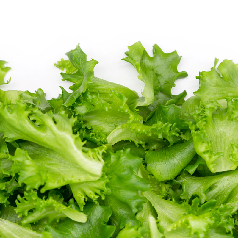 Organic Baby Spinach & Greens Blend β Fresh Produce at Mega Sale