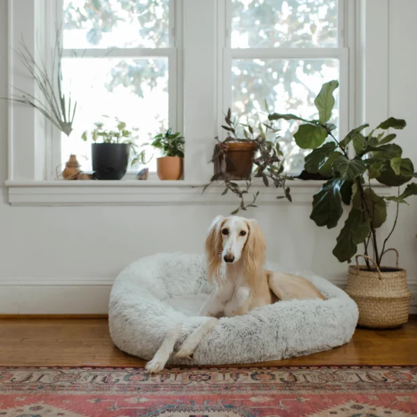 Orthopedic Dog Bed — Medium — Pet Supplies at Mega Sale