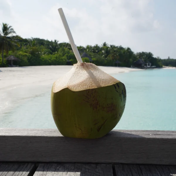 Pure Coconut Water 6-Pack — Beverages at Mega Sale