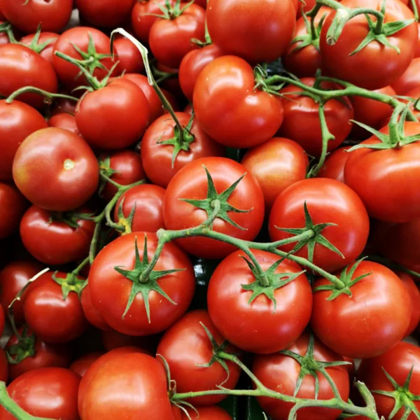 Vine-Ripened Tomatoes 1.5 lb — Fresh Produce at Mega Sale